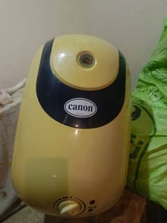 cannon electric geyser 19000