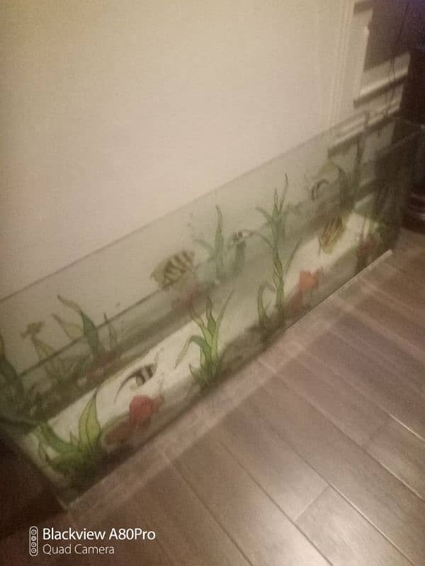 large aquarium with embossed fish and plants 0