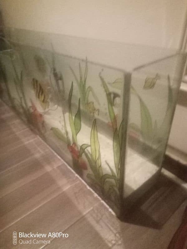 large aquarium with embossed fish and plants 1