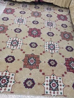 10.5'×9.5' Carpet for Sale