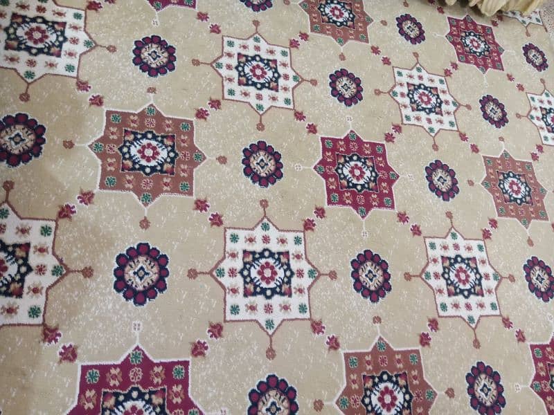 10.5'×9.5' Carpet for Sale 2