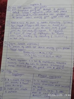 Handwritten assignments