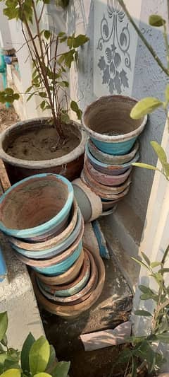 empty pots