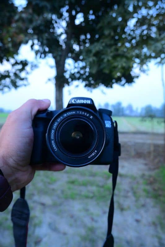 CANON  Canon 70D With (18-55 STM Lens ) 4