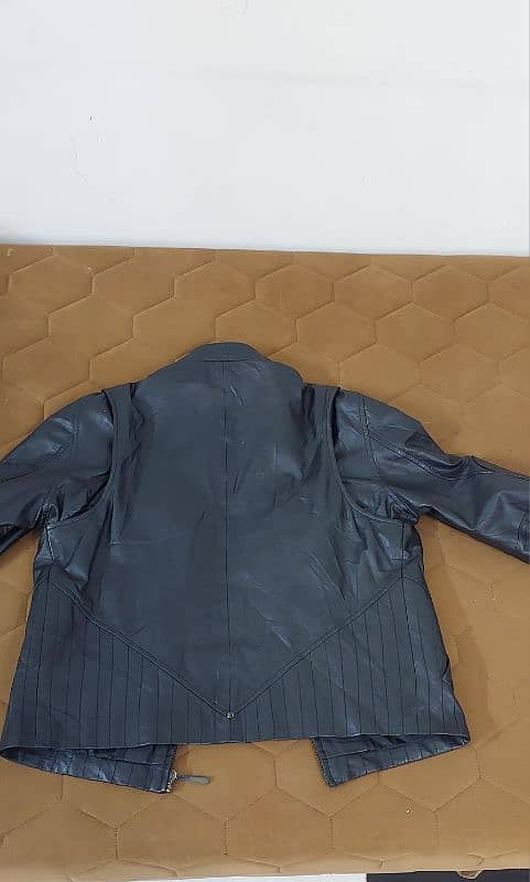 Jacket 6