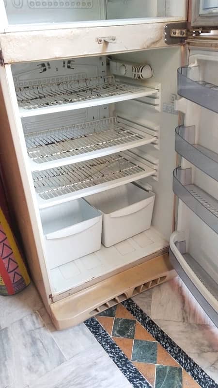 pel  Refrigerator 14