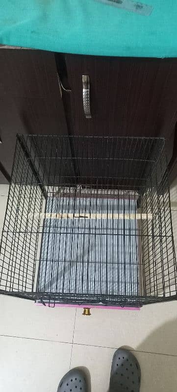 steel bird cage 1