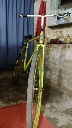 Cycle for Sale