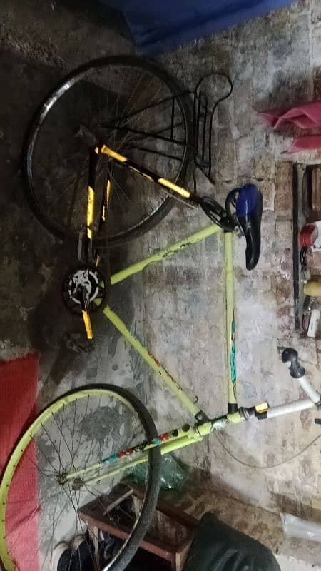 Cycle for Sale 4