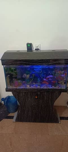 HOME DECOR FISH AQUARIUM