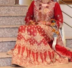 Bridle lehnga Medium Size