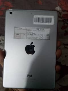 iPad mini 2