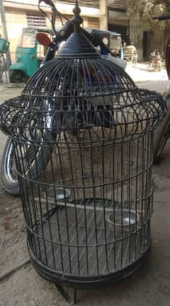 cage for sale