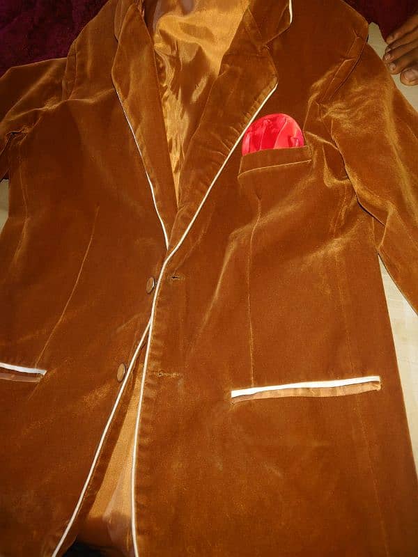 velvet brown coat 0