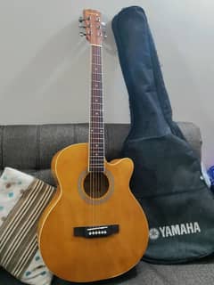 Guitar with bag and picks