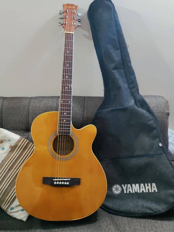 Guitar with bag and picks 1