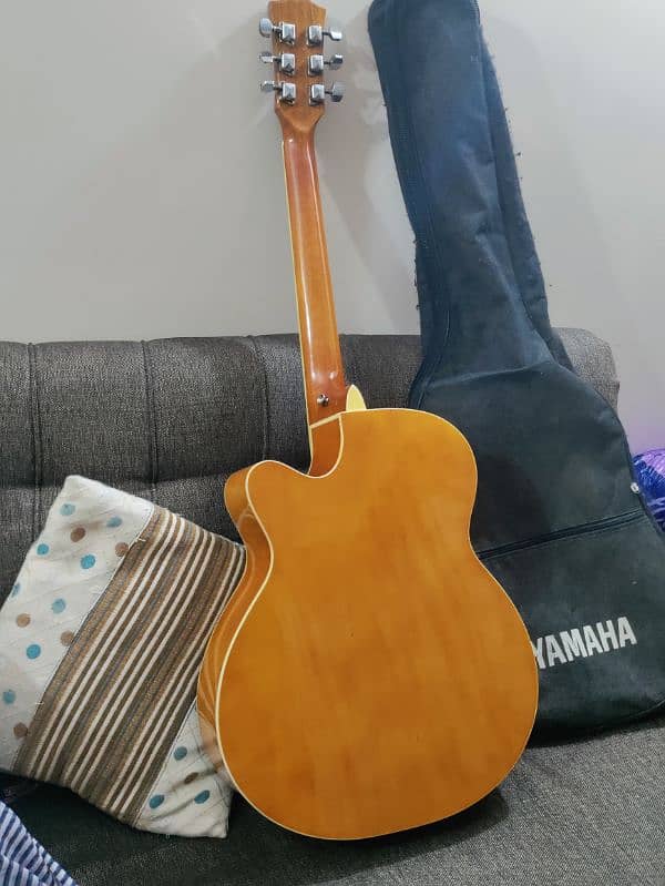 Guitar with bag and picks 6