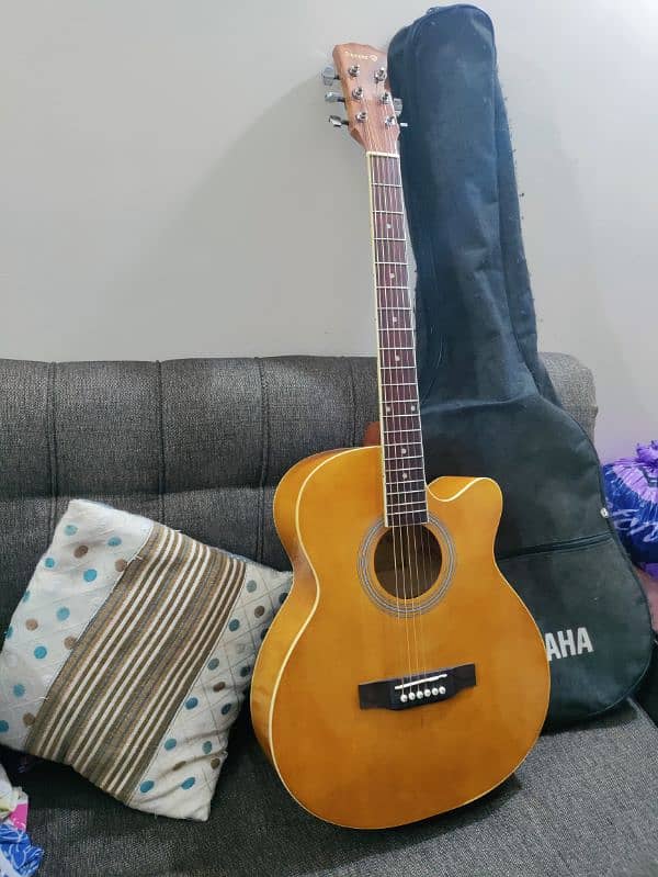 Guitar with bag and picks 9