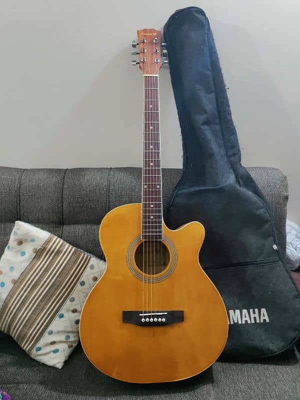 Guitar with bag and picks 10