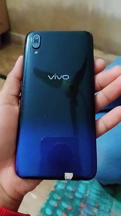 vivo