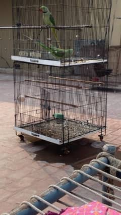 parrot cage unrget for sale