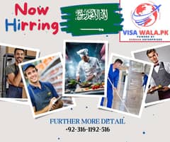 Saudia Work Visa Service