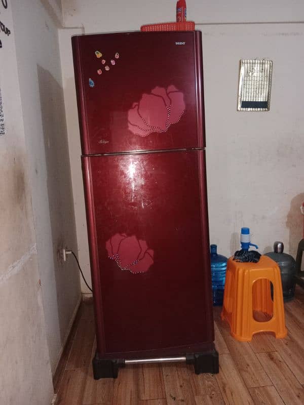 refrigerator with garranty of freeze and motor 1