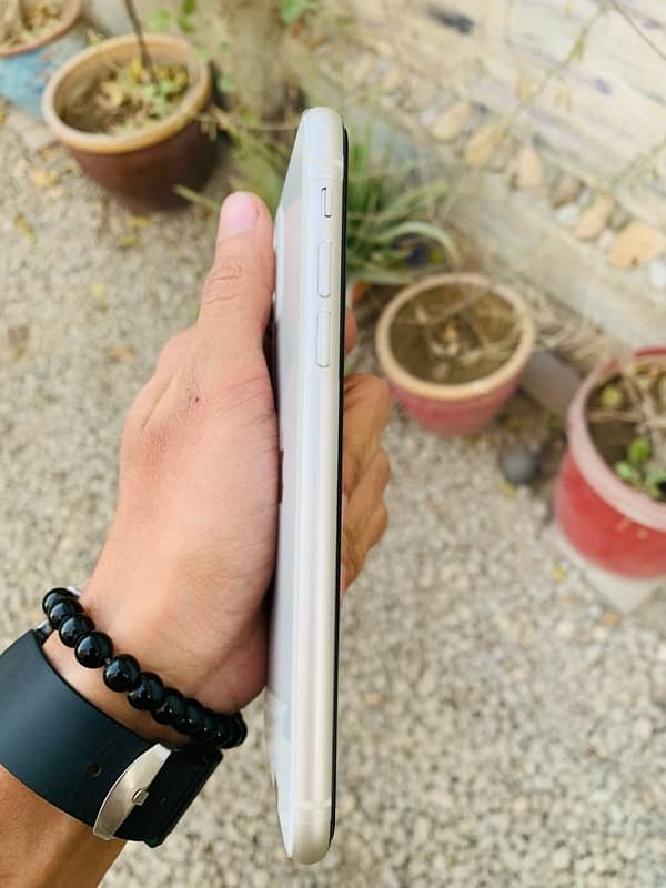 iPhone  11 Jv White 6