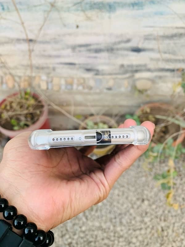 iPhone  11 Jv White 8