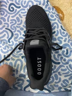 Adidas ultra boosts brand new original