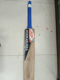 Hardball Bat for Sale