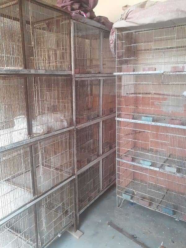 Bird cage for sale 0