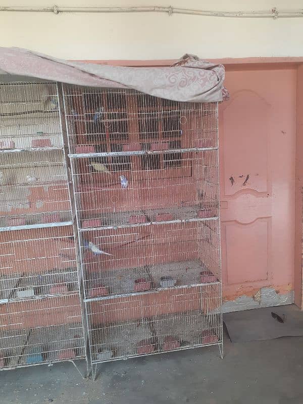 Bird cage for sale 1