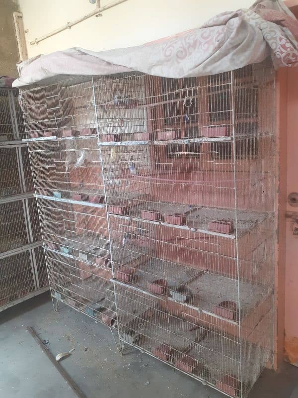 Bird cage for sale 3