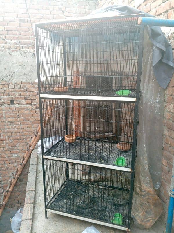 cage available 1