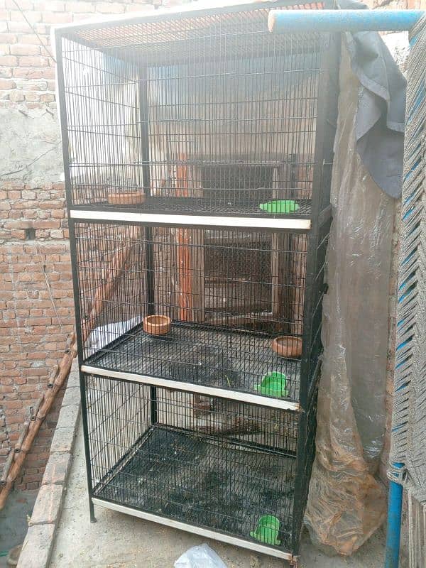 cage available 2