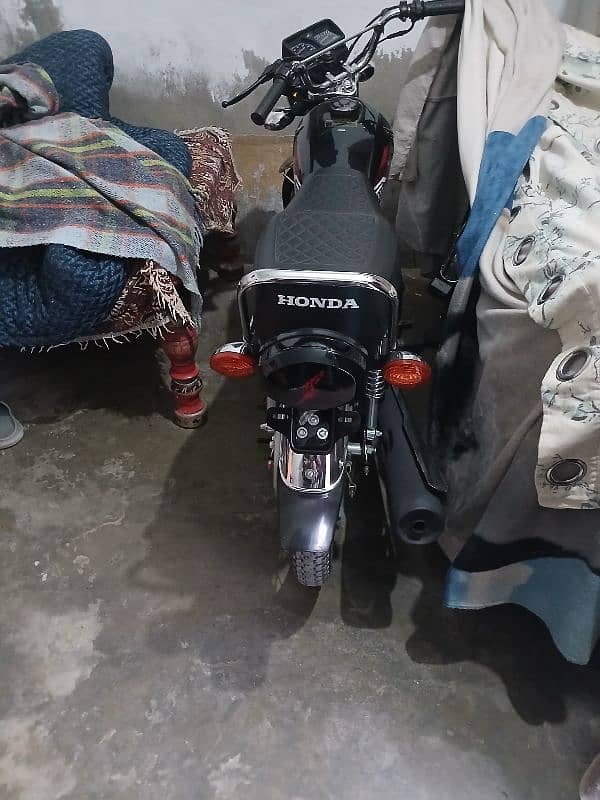 honda 125 2024 1