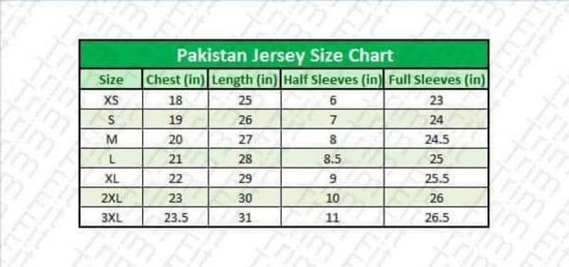 Pakistan jersey 1