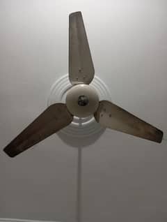 Pak Ceiling Fan