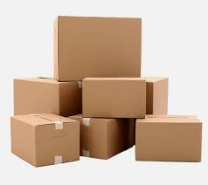 Cartons For Storage and Shifting 2