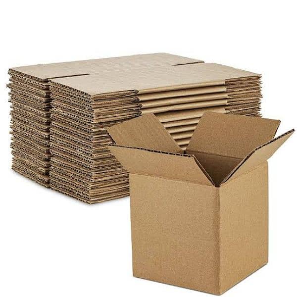 Cartons For Storage and Shifting 3