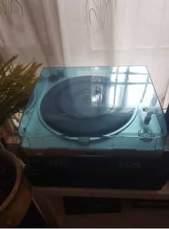 vinyl