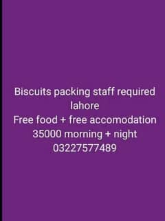 Buiacuit & chocolate packing easy work male female