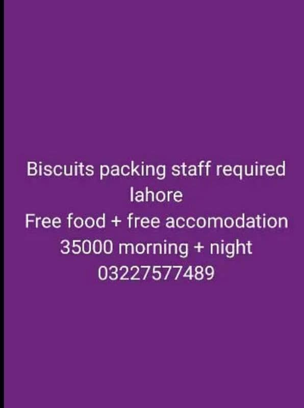 Buiacuit & chocolate packing easy work male female 0