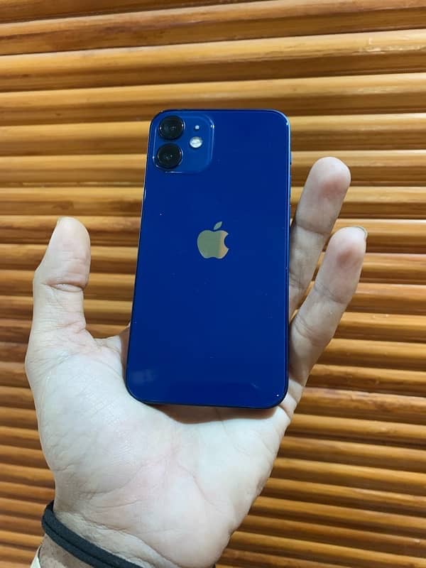 iPhone 12 mini 1