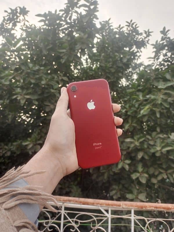 iphone Xr 1