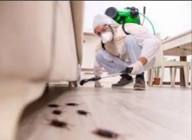 Professional Water Tank Cleaning/Sofa Carpet Cleaning/Termite Proofing 4