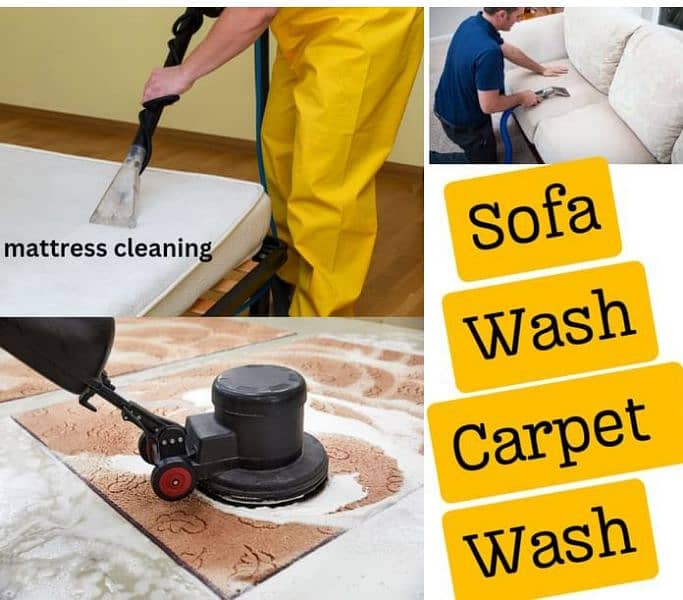 Professional Sofa Carpet Cleaning/Termite Proofing/Water Proofing 16