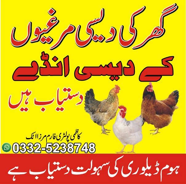 Desi eggs available 0