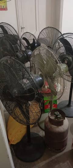 royal fans or brakect fan for sale